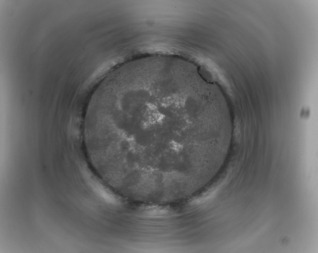 X0000092010449200709061536