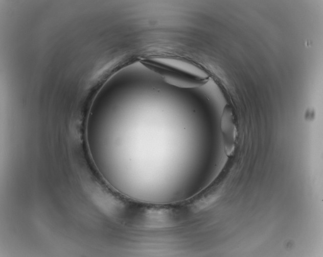 X0000092010450200709061536