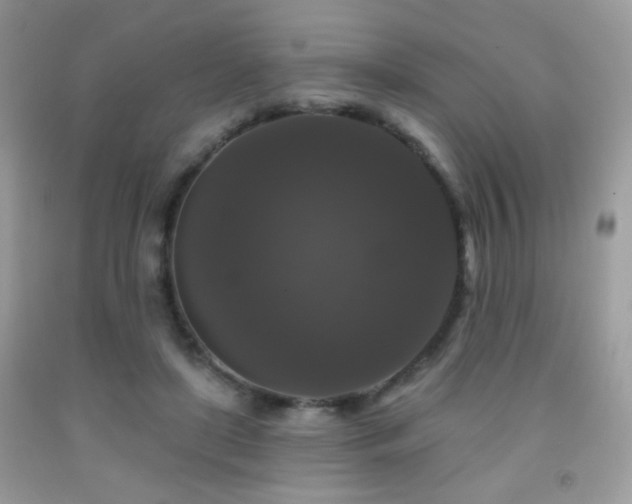 X0000092010451200709061536