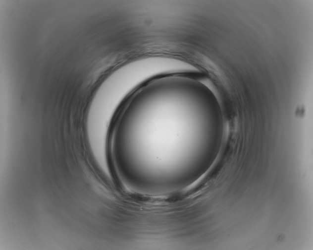 X0000092010452200709061536