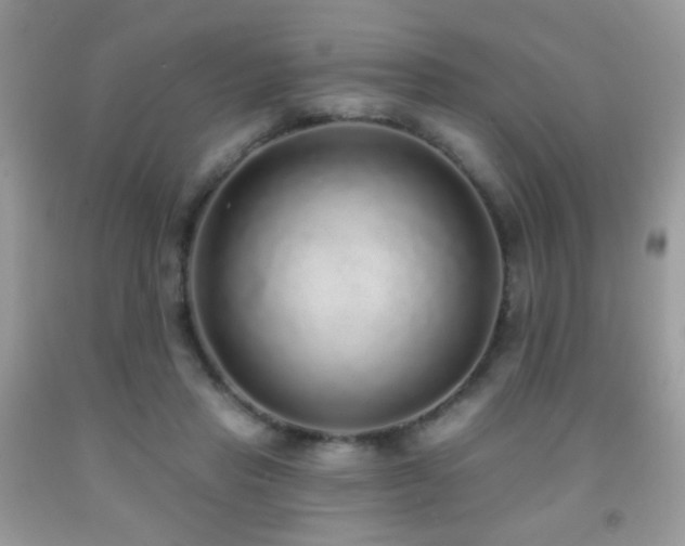 X0000092010453200709061536