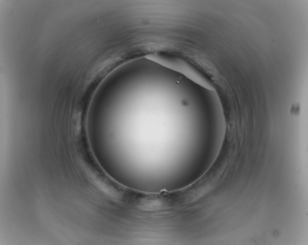 X0000092010454200709061536