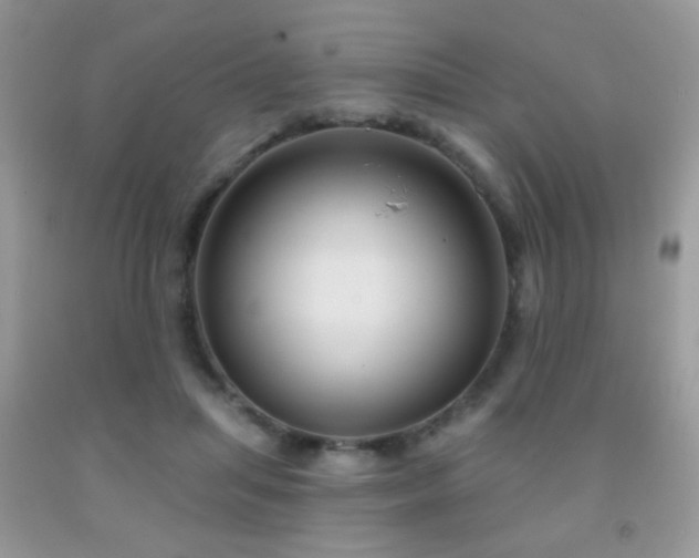 X0000092010455200709061536