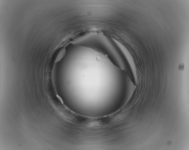 X0000092010456200709061536