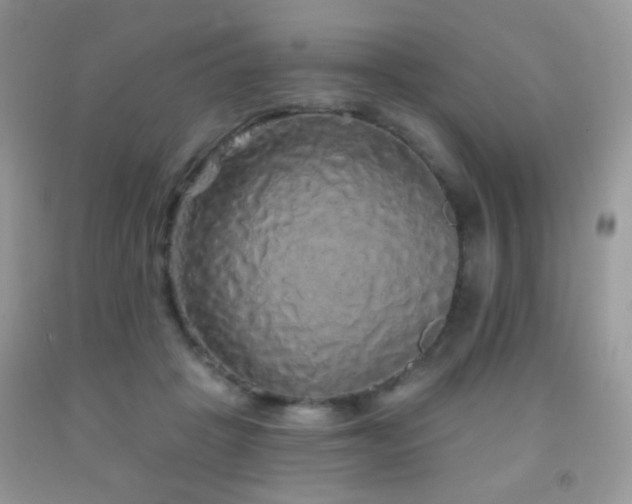 X0000092010457200709061536