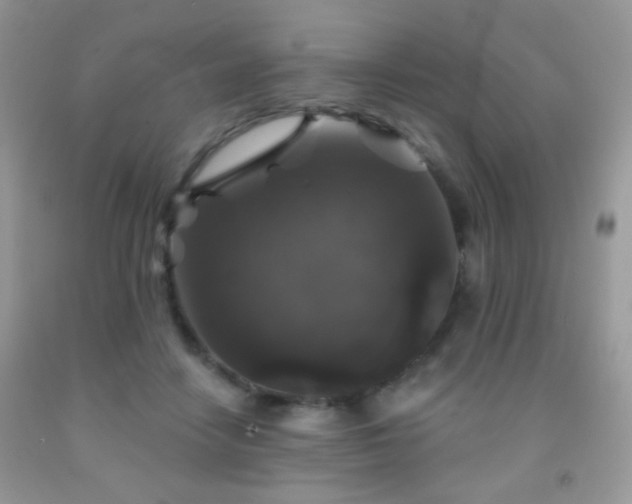 X0000092010458200709061536