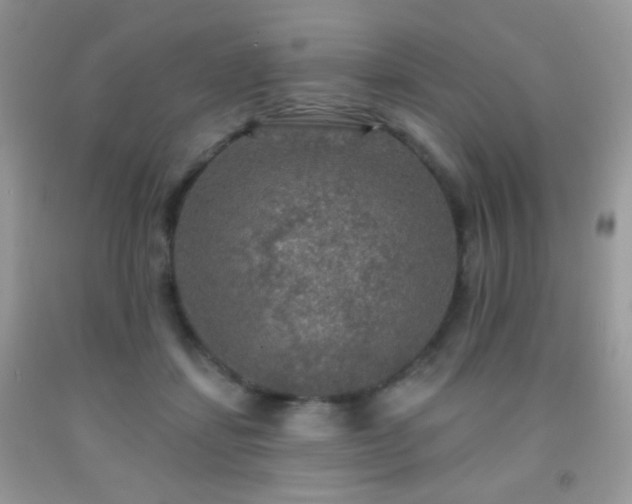 X0000092010459200709061536