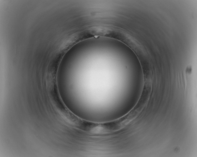 X0000092010460200709061536