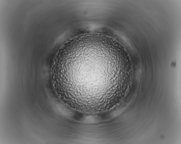X0000092010461200709061536
