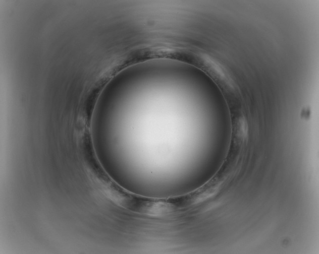 X0000092010463200709061536