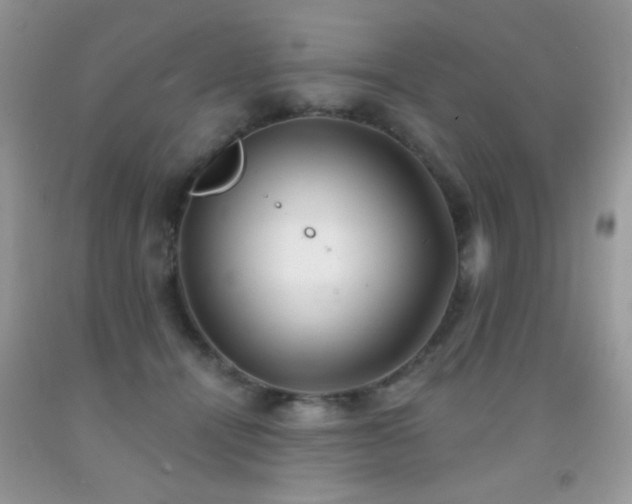 X0000092010464200709061536