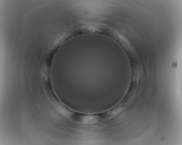 X0000092010465200709061536