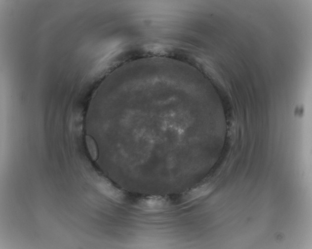 X0000092010466200709061536