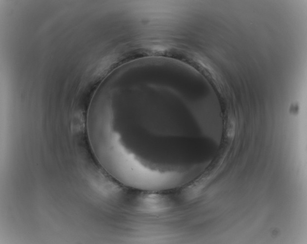 X0000092010467200709061536