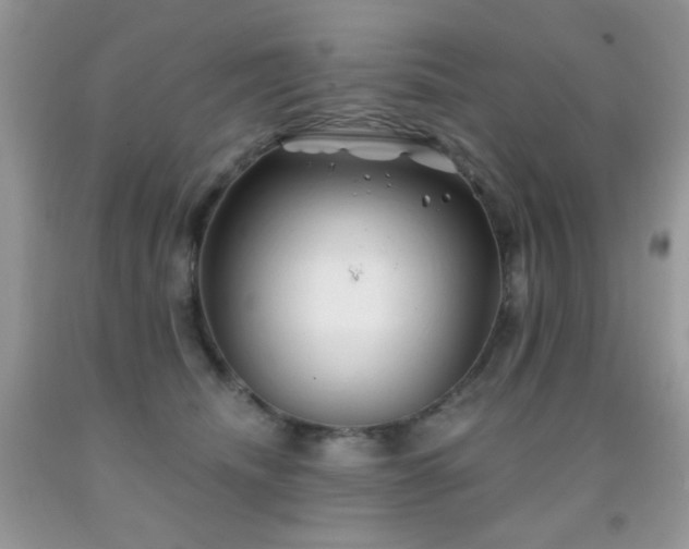 X0000092010468200709061536