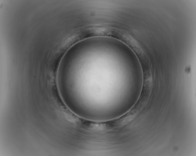 X0000092010469200709061536