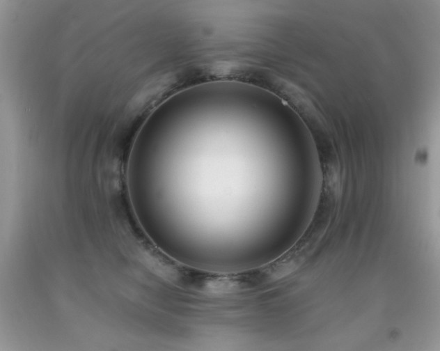 X0000092010470200709061536