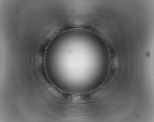 X0000092010472200709061536