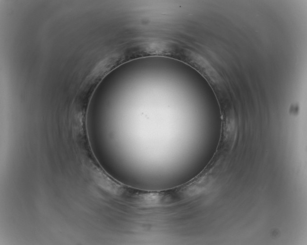 X0000092010473200709061536