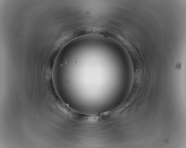 X0000092010474200709061536