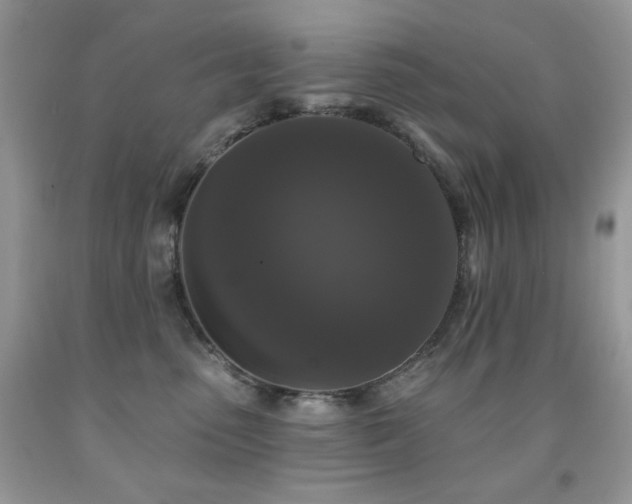 X0000092010475200709061536