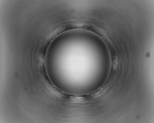X0000092010476200709061536