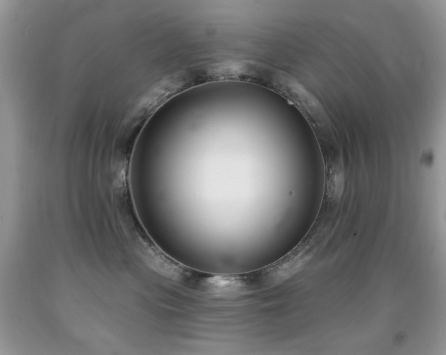X0000092010477200709061536