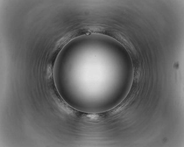 X0000092010478200709061536