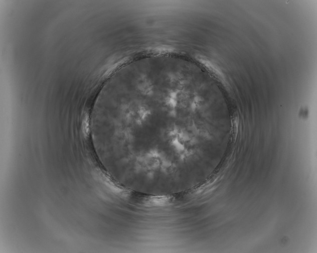 X0000092010479200709061536