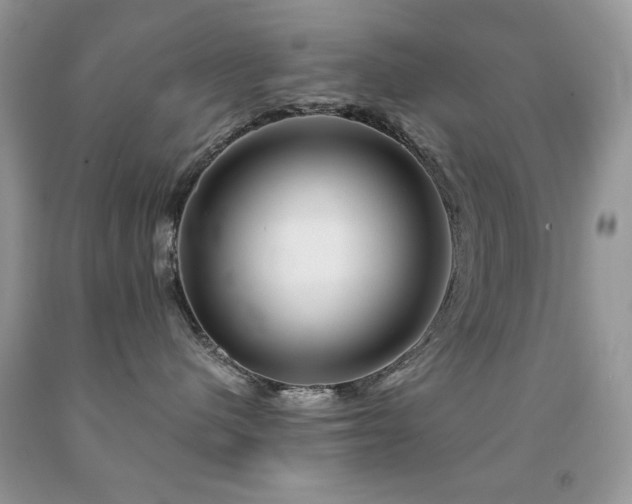 X0000092010480200709061536