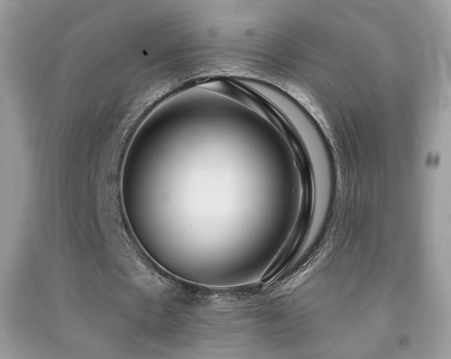 X0000092010481200709061535