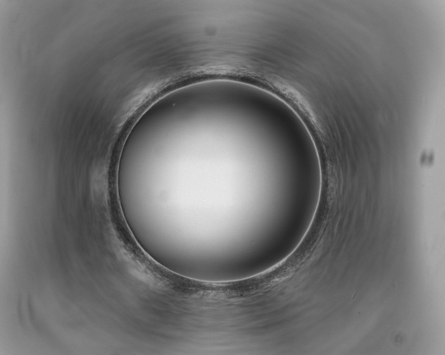 X0000092010482200709061535