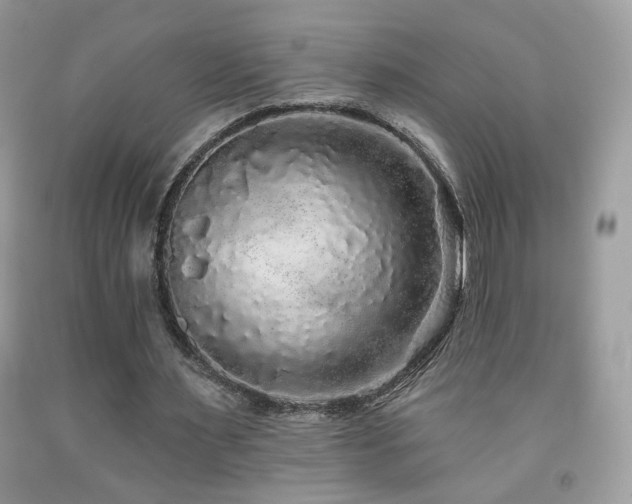 X0000092010483200709061535