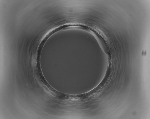 X0000092010484200709061535