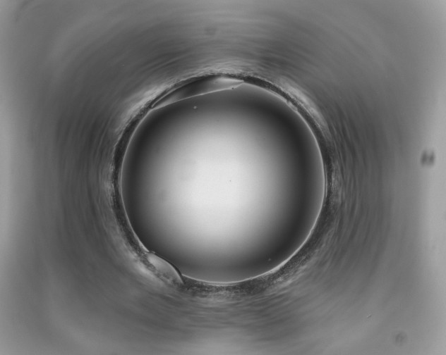 X0000092010485200709061535