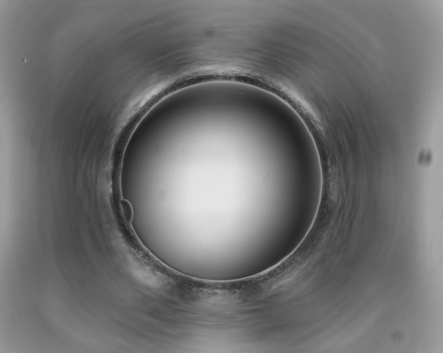 X0000092010486200709061535