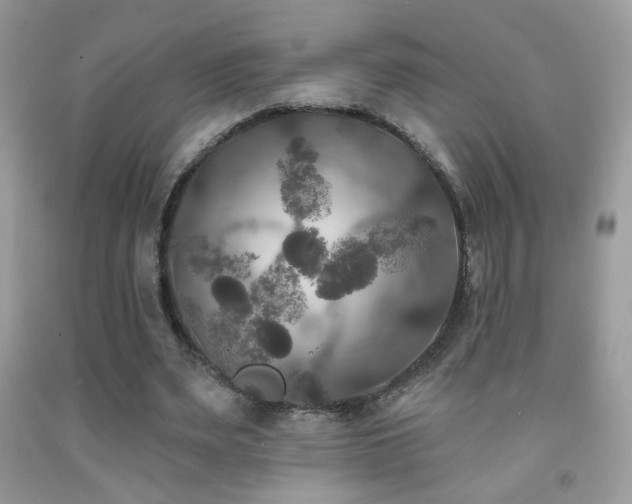 X0000092010487200709061535