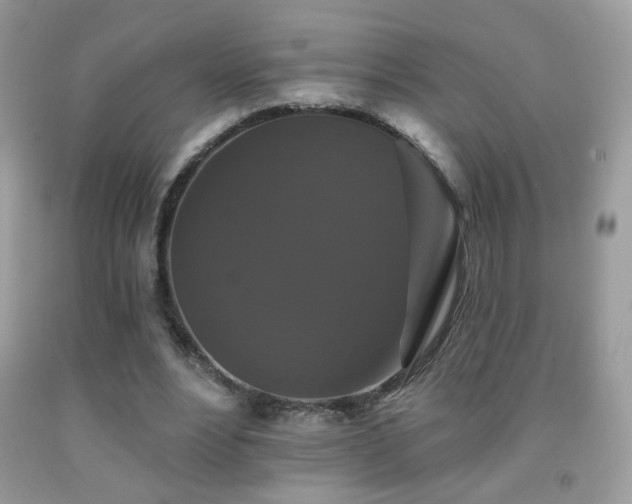 X0000092010488200709061535