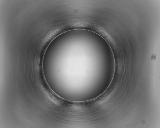 X0000092010490200709061535