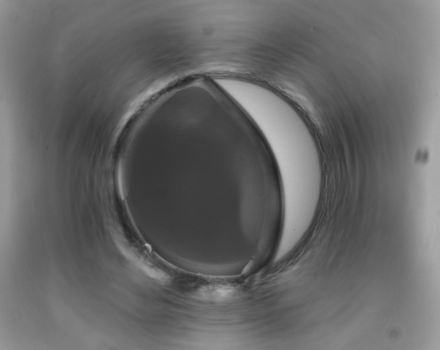 X0000092010492200709061535