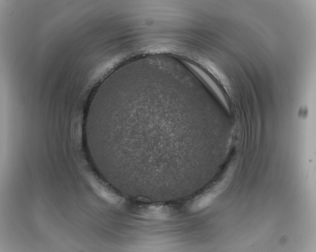 X0000092010493200709061535