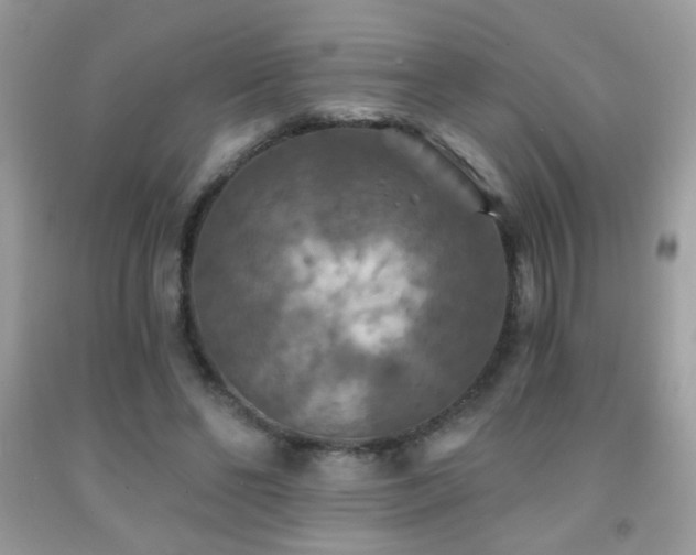 X0000092010494200709061535