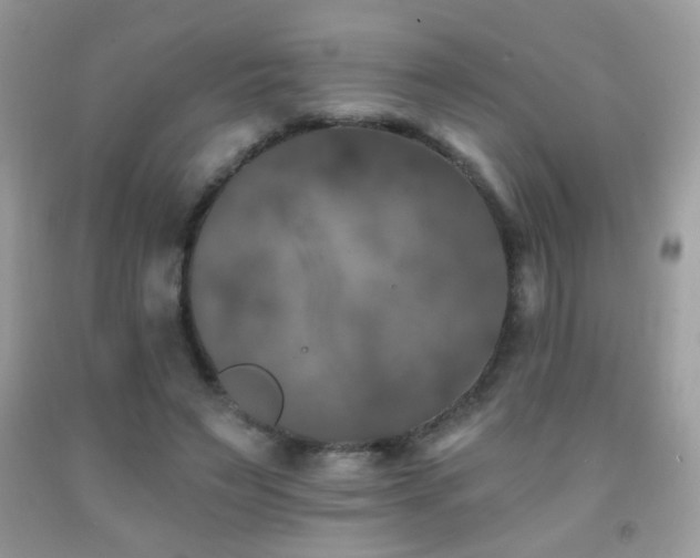 X0000092010495200709061535