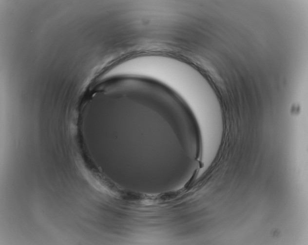 X0000092010496200709061535