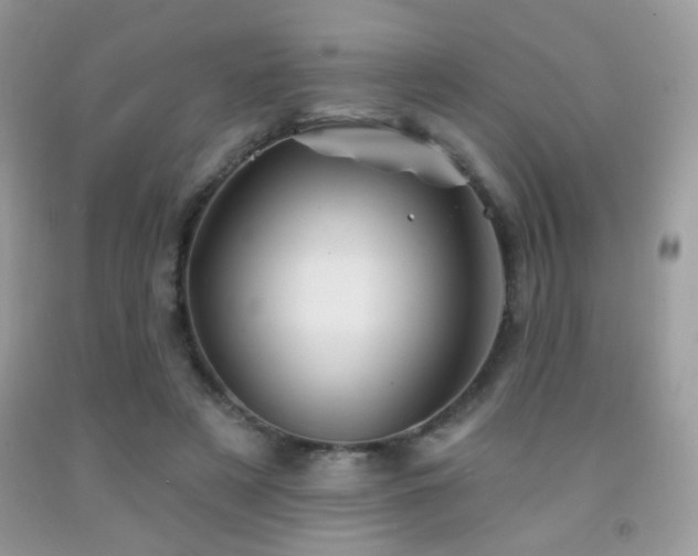 X0000092010497200709061535