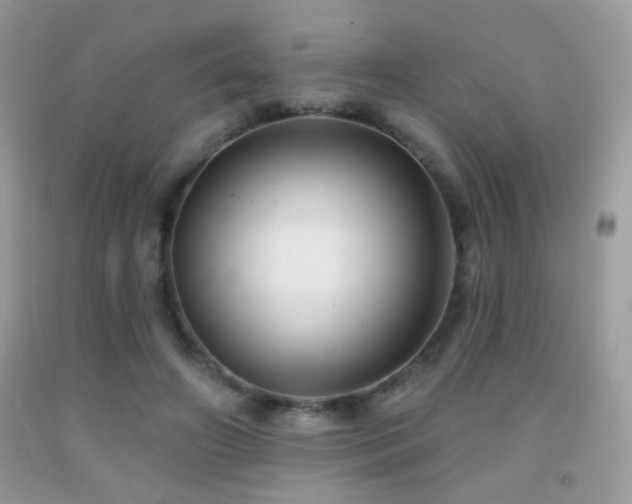 X0000092010498200709061535