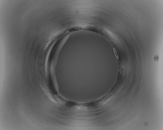 X0000092010500200709061535