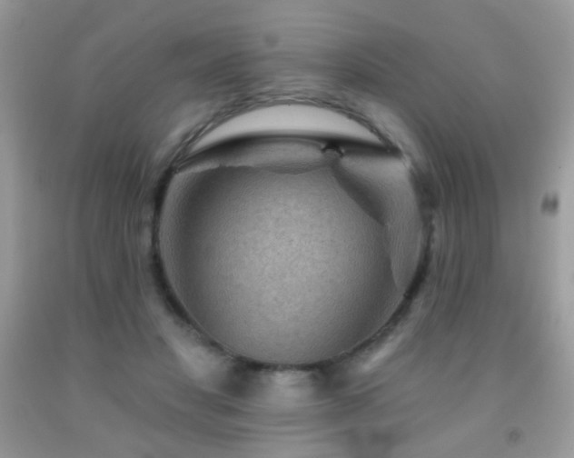 X0000092010501200709061535