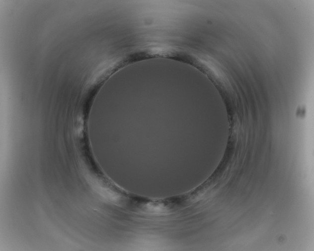 X0000092010502200709061535