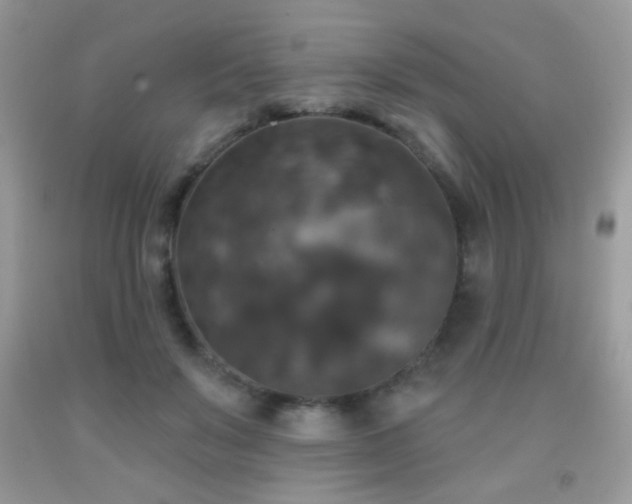 X0000092010503200709061535